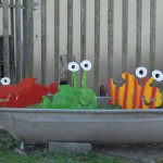 Fische in der Badewanne